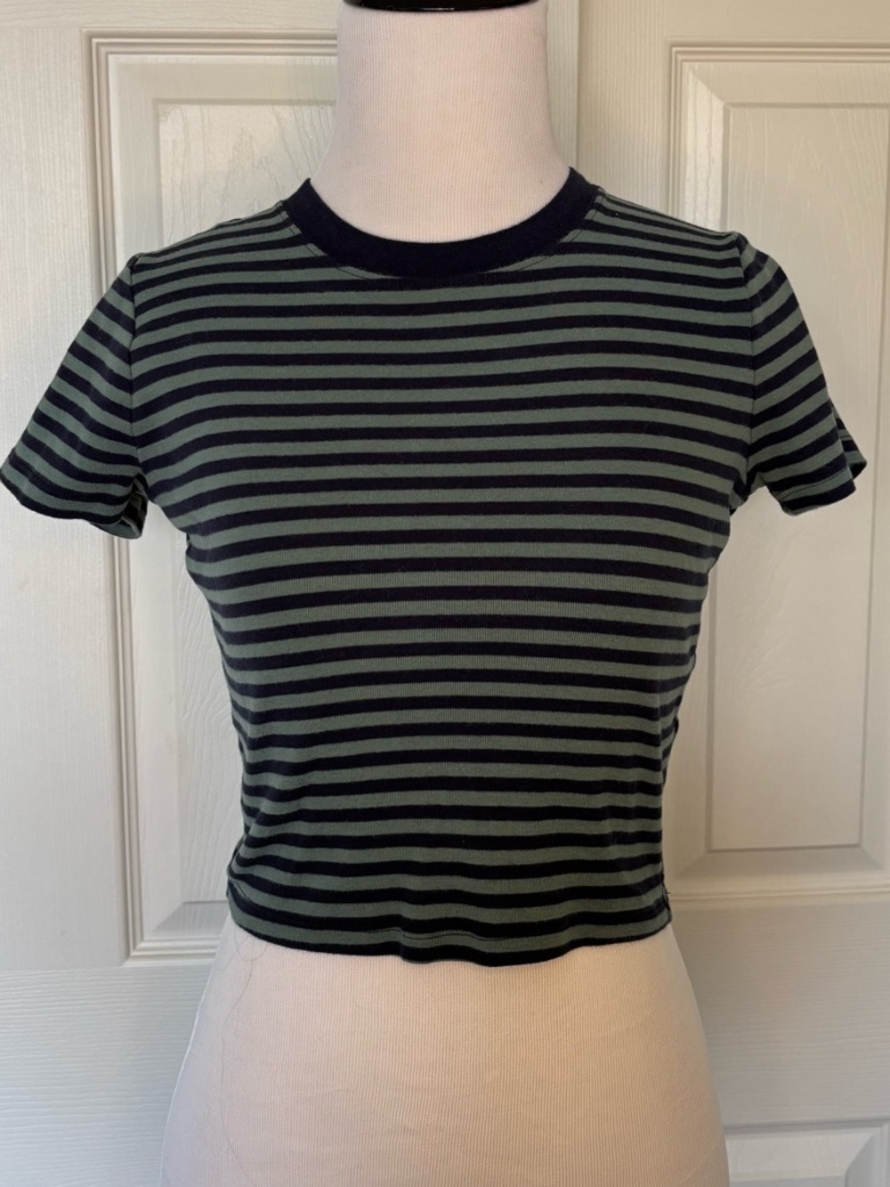 Striped Crewneck Crop Tee - Navy and Sage